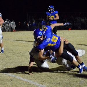 Meet your Posher, Koy